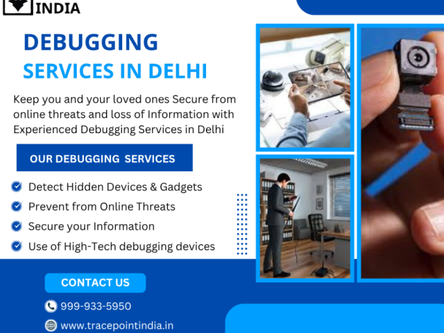 debugging-services-in-securing-information-of-corporates