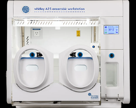 buy-whitley-anaerobic-workstation