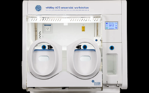 buy-whitley-anaerobic-workstation-big-0