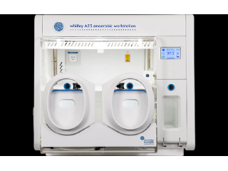 buy-whitley-anaerobic-workstation-small-0