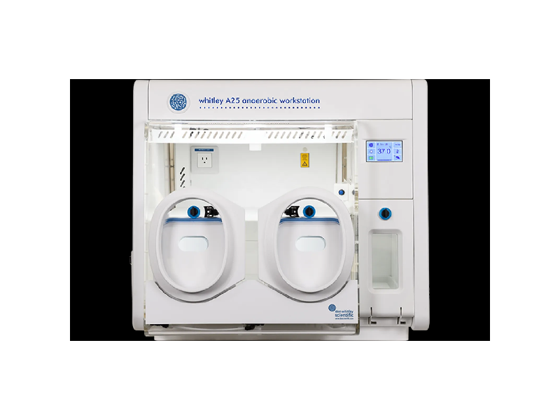 buy-whitley-anaerobic-workstation-small-0