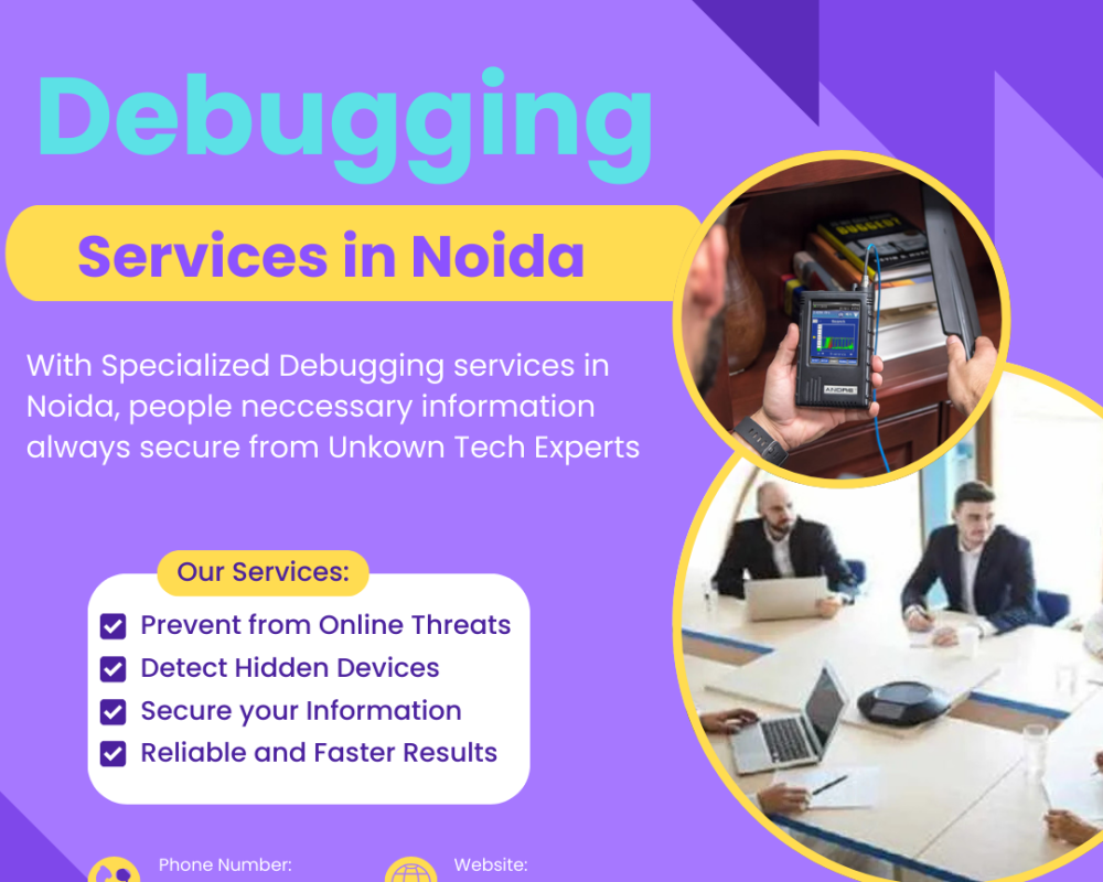 debugging-services-to-secure-individuals-corporate-information