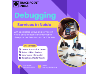 debugging-services-to-secure-individuals-corporate-information-small-0