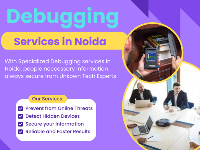 debugging-services-to-secure-individuals-corporate-information