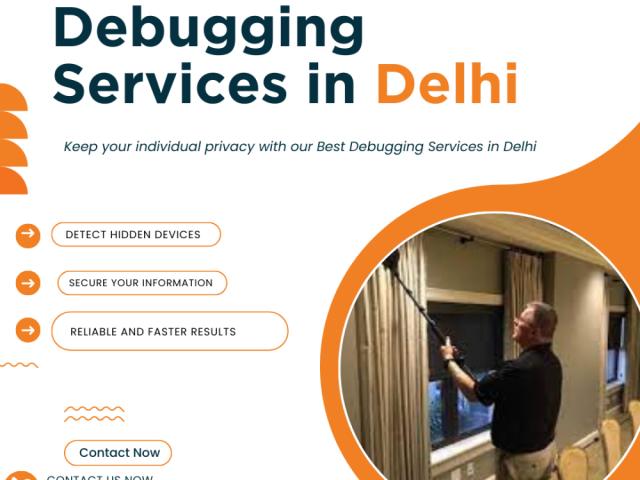 why-debugging-services-are-essential-to-protect-individuals-and-corporates-information