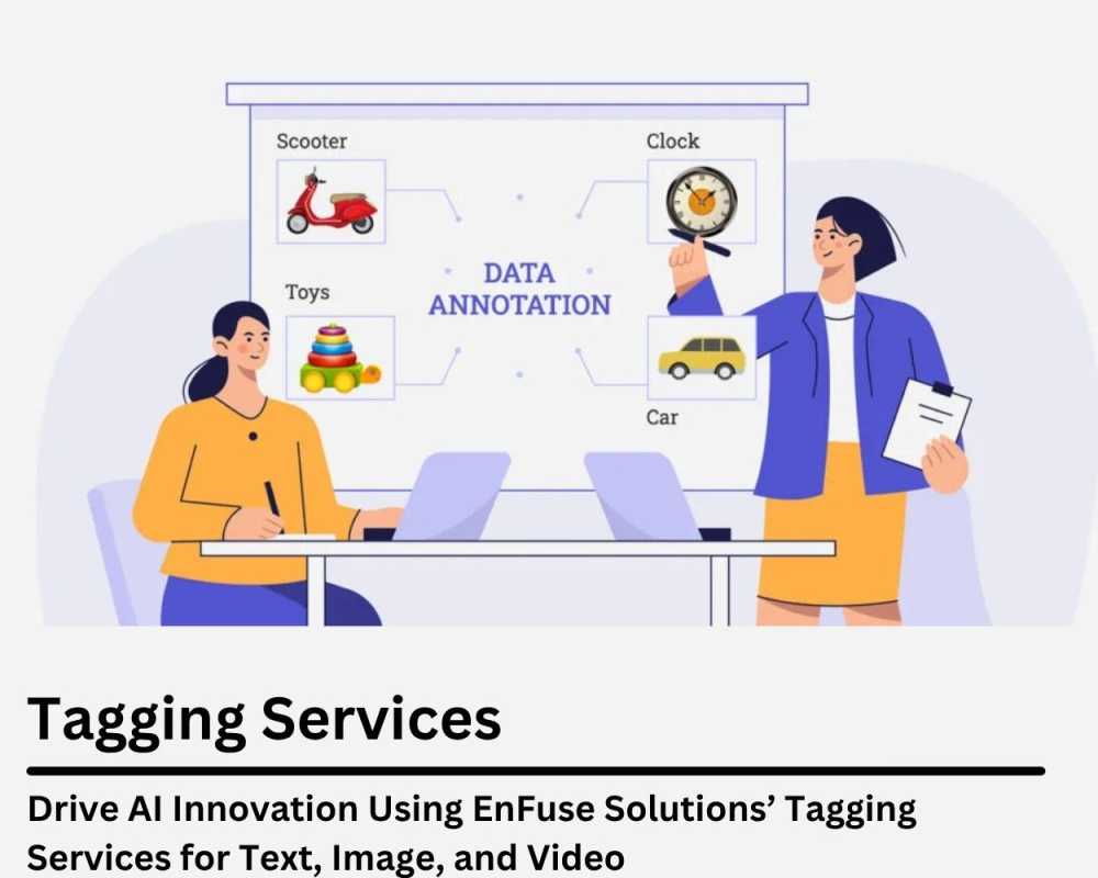 drive-ai-innovation-using-enfuse-solutions-tagging-services-for-text-image-and-video