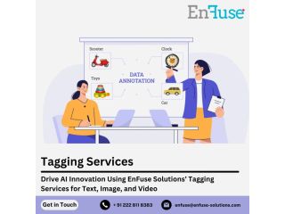 drive-ai-innovation-using-enfuse-solutions-tagging-services-for-text-image-and-video-small-0