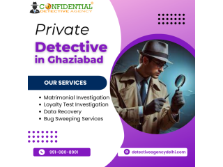 secrets-revealed-how-private-investigators-handle-personal-investigations-small-0