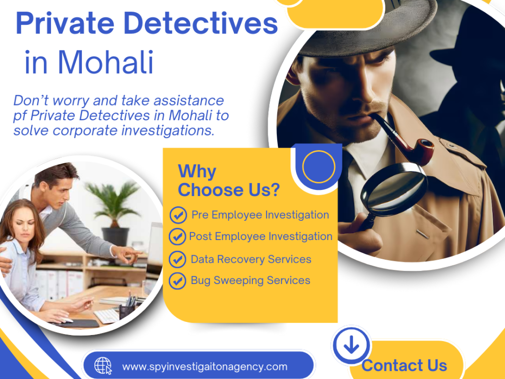 discreet-private-detectives-for-corporate-investigations-with-complete-confidentiality-big-0