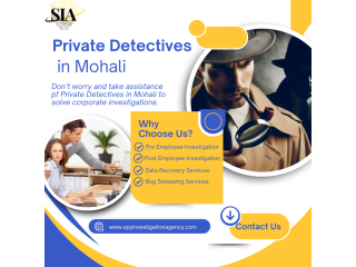 discreet-private-detectives-for-corporate-investigations-with-complete-confidentiality-small-0