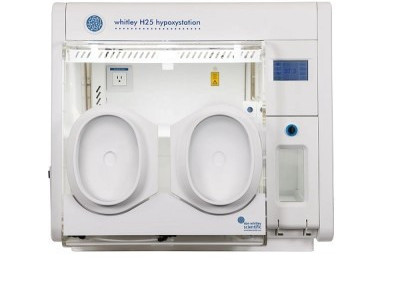 premium-hypoxic-workstation-best-price-by-lab-technologies-big-0