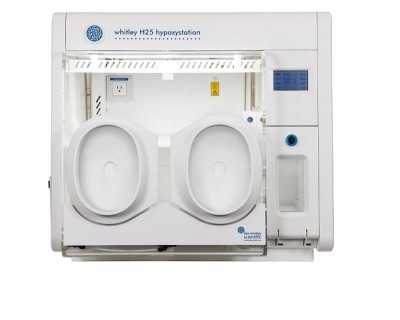 premium-hypoxic-workstation-best-price-by-lab-technologies