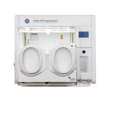 premium-hypoxic-workstation-best-price-by-lab-technologies-big-0