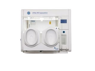 premium-hypoxic-workstation-best-price-by-lab-technologies-small-0