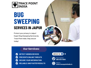 protect-what-matters-most-bug-sweeping-services-for-individuals-and-corporates-small-0