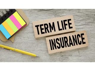 what-is-term-insurance-and-why-its-the-purest-form-of-protection-small-0