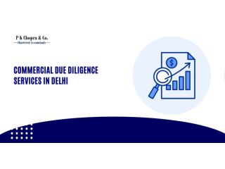 professional-commercial-due-diligence-services-in-delhi-trusted-experts-small-0