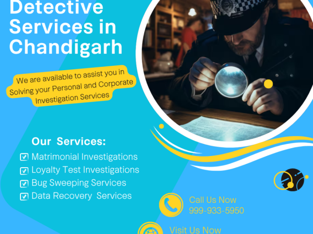 uncovering-the-truth-why-individuals-and-businesses-rely-on-detective-services