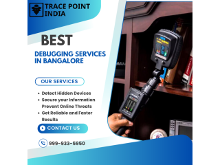 find-hidden-bugs-before-they-find-you-with-expert-debugging-services-small-0