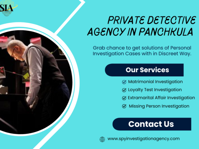 private-detective-agency-for-personal-investigation-cases-discreet-reliable-result-oriented