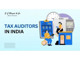s-c-bhagat-co-professional-chartered-accountants-expert-tax-auditors-in-india-small-0