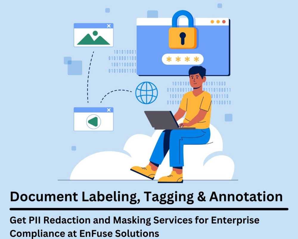 get-pii-redaction-and-masking-services-for-enterprise-compliance-at-enfuse-solutions