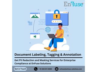 get-pii-redaction-and-masking-services-for-enterprise-compliance-at-enfuse-solutions-small-0