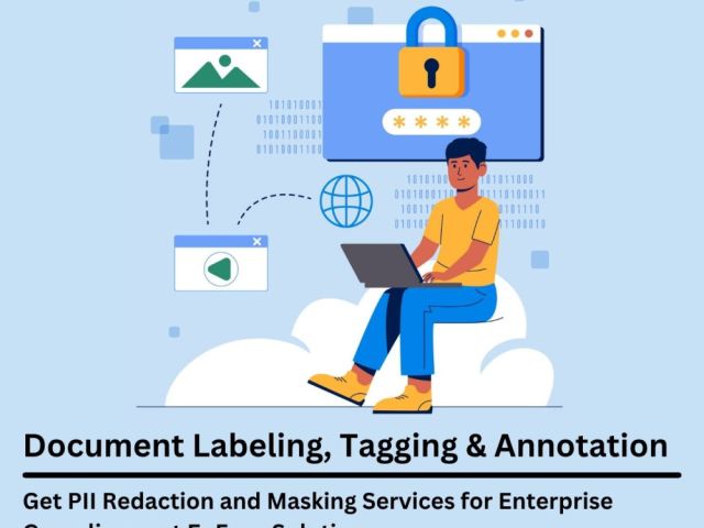 get-pii-redaction-and-masking-services-for-enterprise-compliance-at-enfuse-solutions