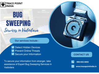 worried-about-hidden-cameras-book-a-bug-sweeping-services-today-small-0