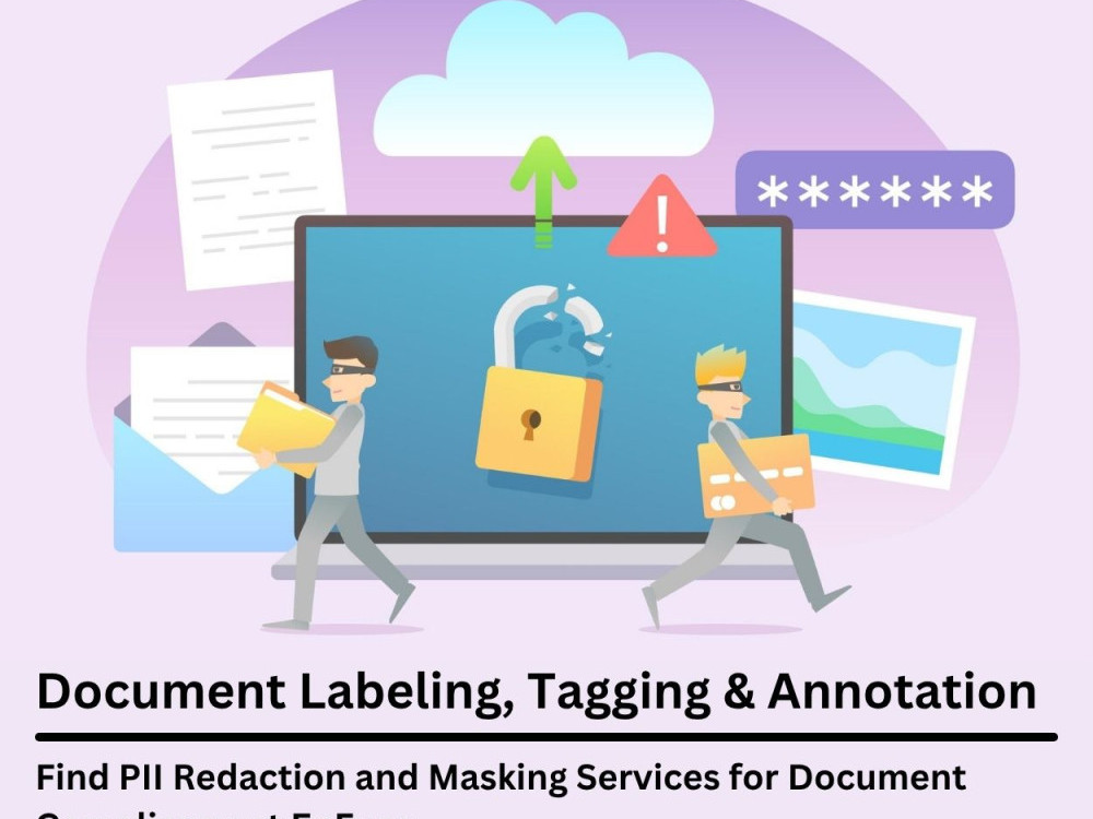 find-pii-redaction-and-masking-services-for-document-compliance-at-enfuse-big-0