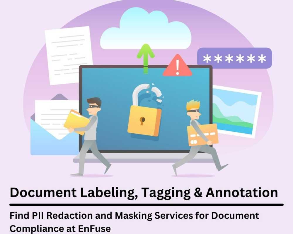 find-pii-redaction-and-masking-services-for-document-compliance-at-enfuse
