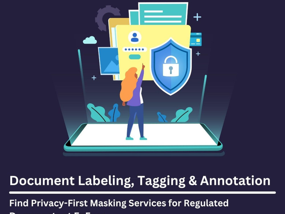 find-privacy-first-masking-services-for-regulated-documents-at-enfuse-big-0