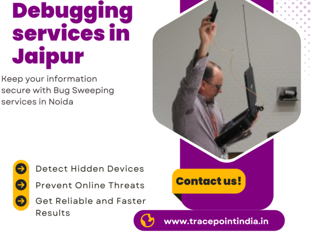 stay-spy-free-with-advanced-debugging-services-in-jaipur