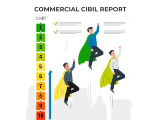 commercial-credit-report-credit-help-india-small-0