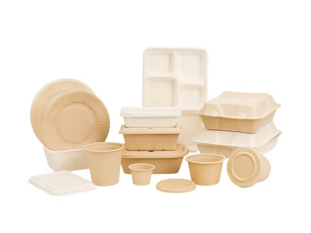 find-the-best-paper-cups-and-plates-manufacturer