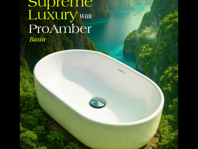 ceramic-washbasin-in-delhi-for-kitchen