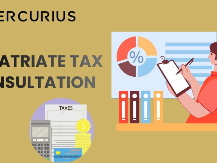 advanced-expatriate-tax-consultation-for-individuals-working-abroad-big-0
