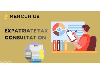 advanced-expatriate-tax-consultation-for-individuals-working-abroad-small-0