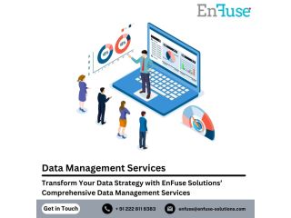transform-your-data-strategy-with-enfuse-solutions-comprehensive-data-management-services-small-0