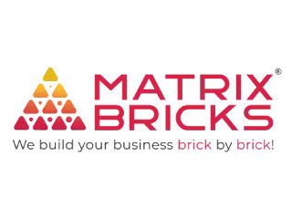 grow-your-brand-with-the-best-digital-marketing-agency-in-india-matrix-bricks-small-0