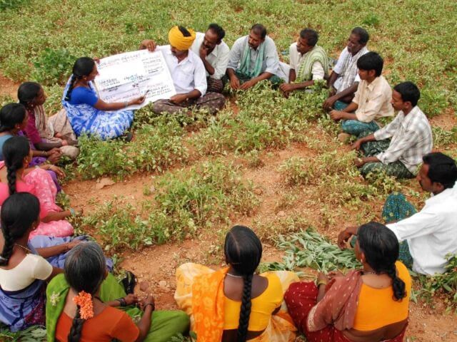rural-livelihood-ngo-initiatives-to-drive-sustainable-growth