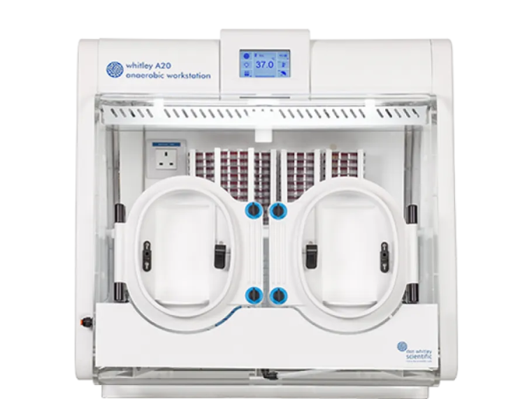 buy-anaerobic-workstation-deals-by-lab-technologies-big-0