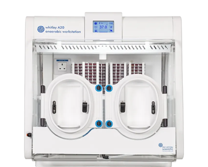 buy-anaerobic-workstation-deals-by-lab-technologies