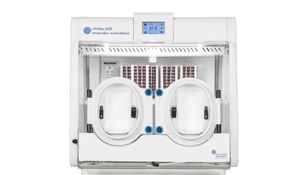 buy-anaerobic-workstation-deals-by-lab-technologies-big-0