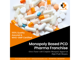 searching-for-the-best-pcd-pharma-franchise-opportunity-in-india-aeron-remedies-small-0