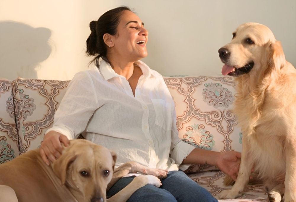 how-natural-ingredient-selection-supports-long-term-canine-health-big-0