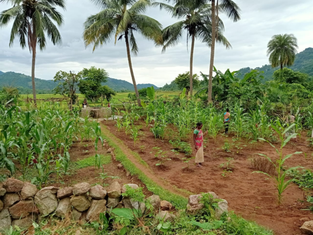 ngo-in-odisha-working-for-health-education-and-empowerment