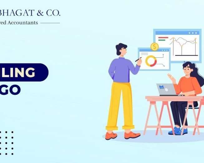 professional-itr-filing-of-ngo-services