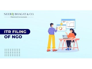 professional-itr-filing-of-ngo-services-small-0