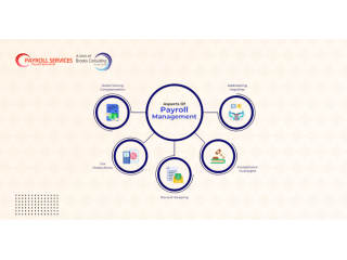 paperless-payroll-services-for-hassle-free-accurate-salary-processing-small-0
